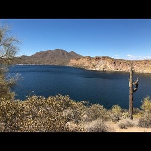 Meet your Posher, Morgan